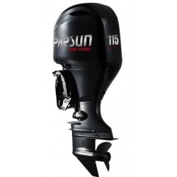 PARSUN F115 +9 700,00€