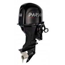 PARSUN F60FEL-T-EFI
