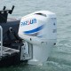 PARSUN F300FEX-T-EFI-W