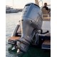 PARSUN F300FEX-T-EFI-W