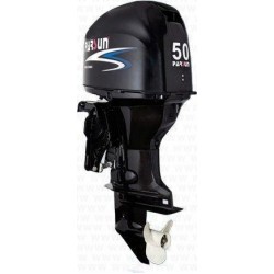 PARSUN F50FEL-T-EFI +5 800,00€